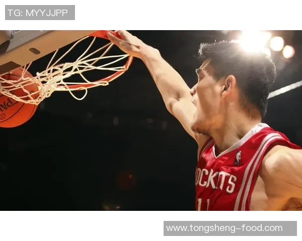 姚明在NBA赛场展现顶级盖帽实力的精彩瞬间与传奇故事