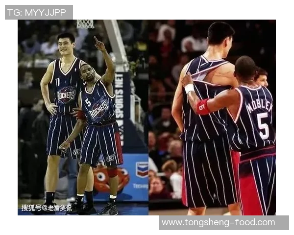 姚明的投篮技巧与篮球生涯的辉煌成就探讨