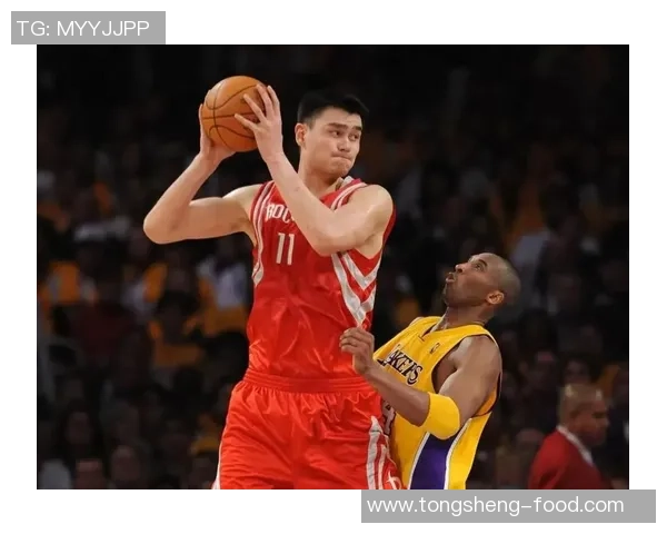 姚明队友们的传奇故事与篮球生涯的辉煌成就回顾