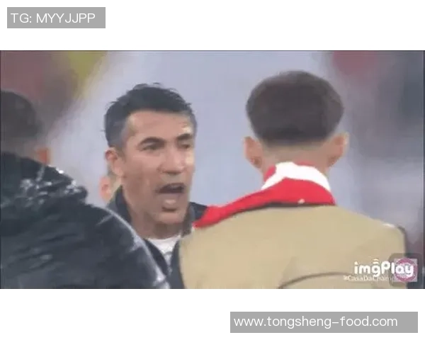 足总杯惊现冷门本菲卡逆转巴萨乌龙球成关键时刻