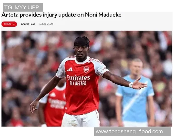 欧联杯激战阿森纳与热刺平局红牌事件引发全场热议与惊讶